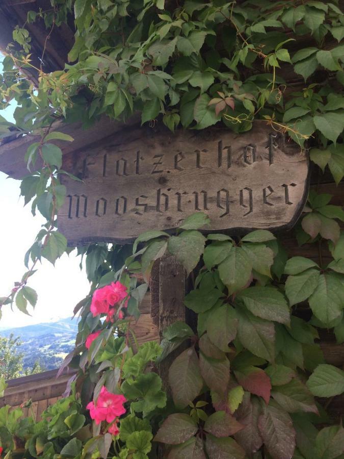 Flatzerhof Haus im Ennstal Exterior foto